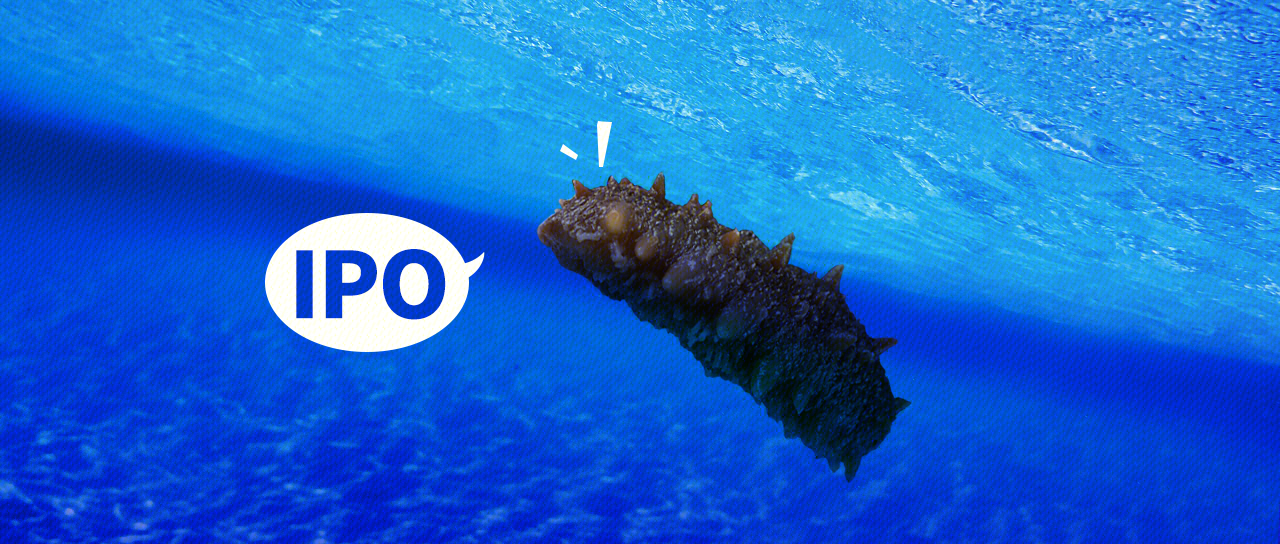 海参 IPO