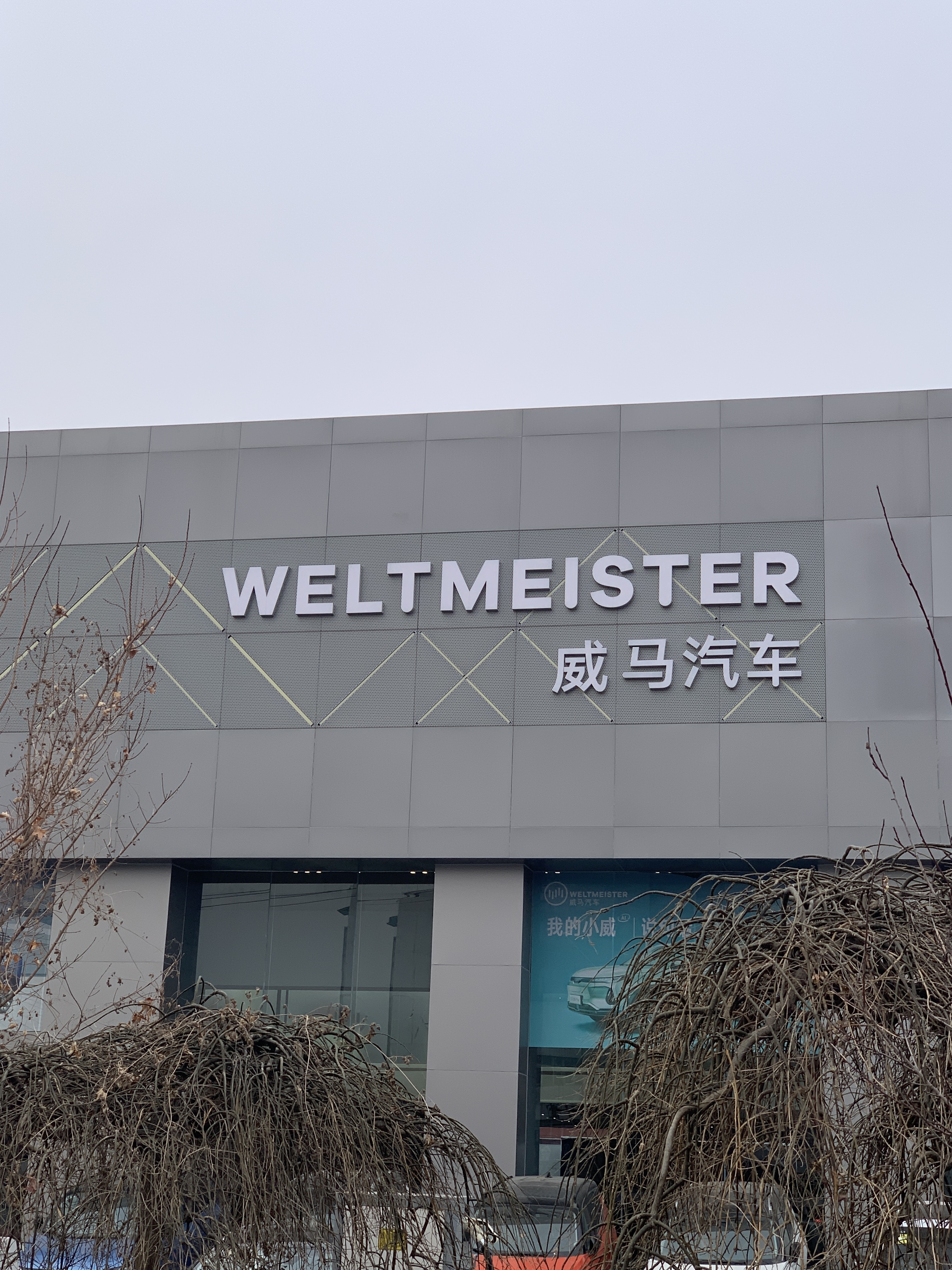 新能源 纯电动 智能电动 威马汽车