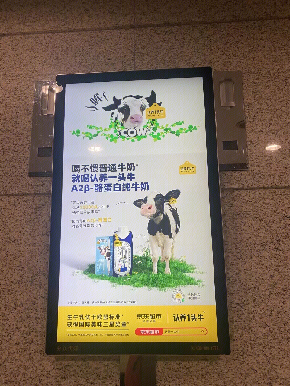 认养1头牛     新锐乳业  海报