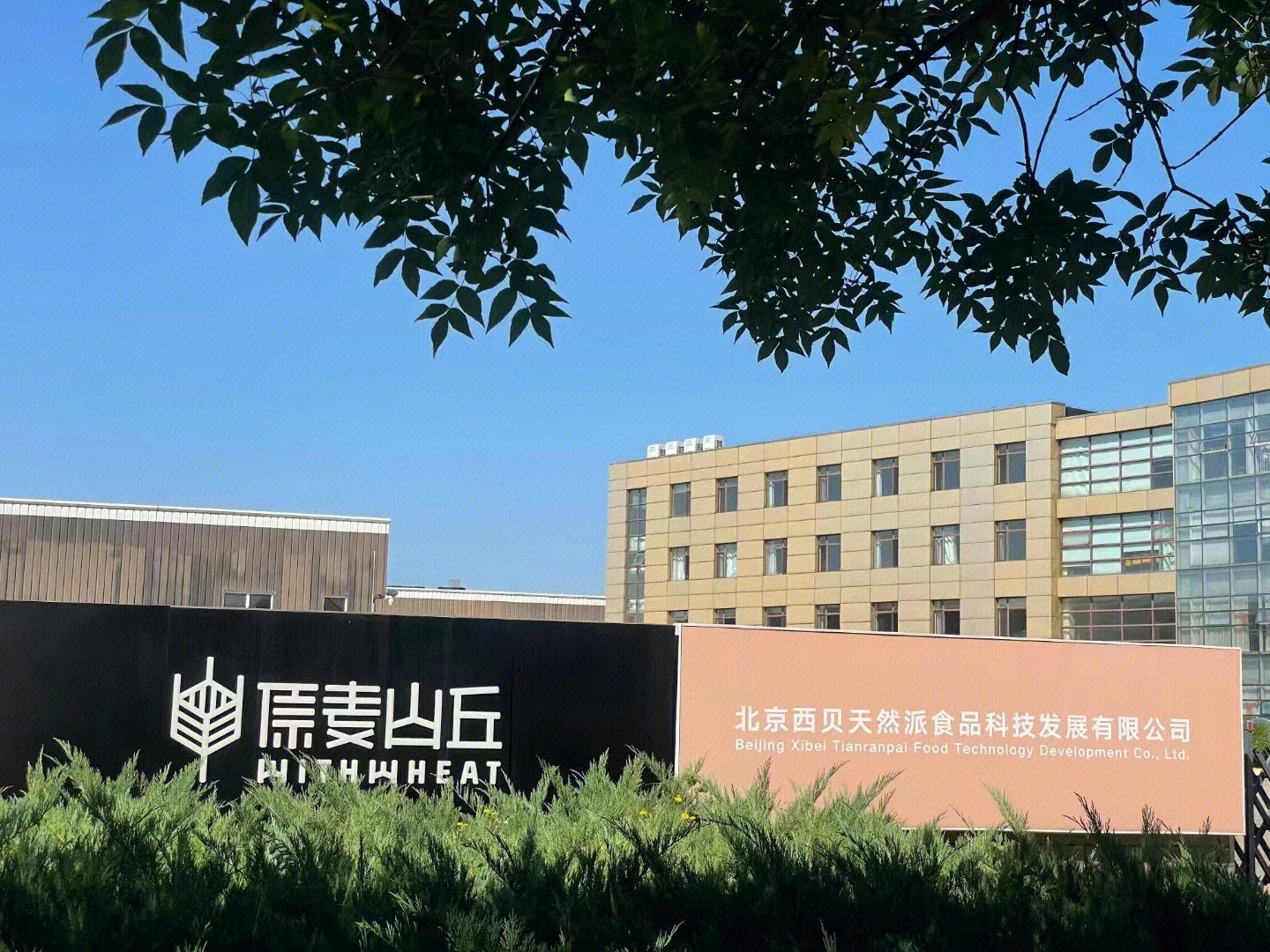 原麦山丘 西北天然派食品科技