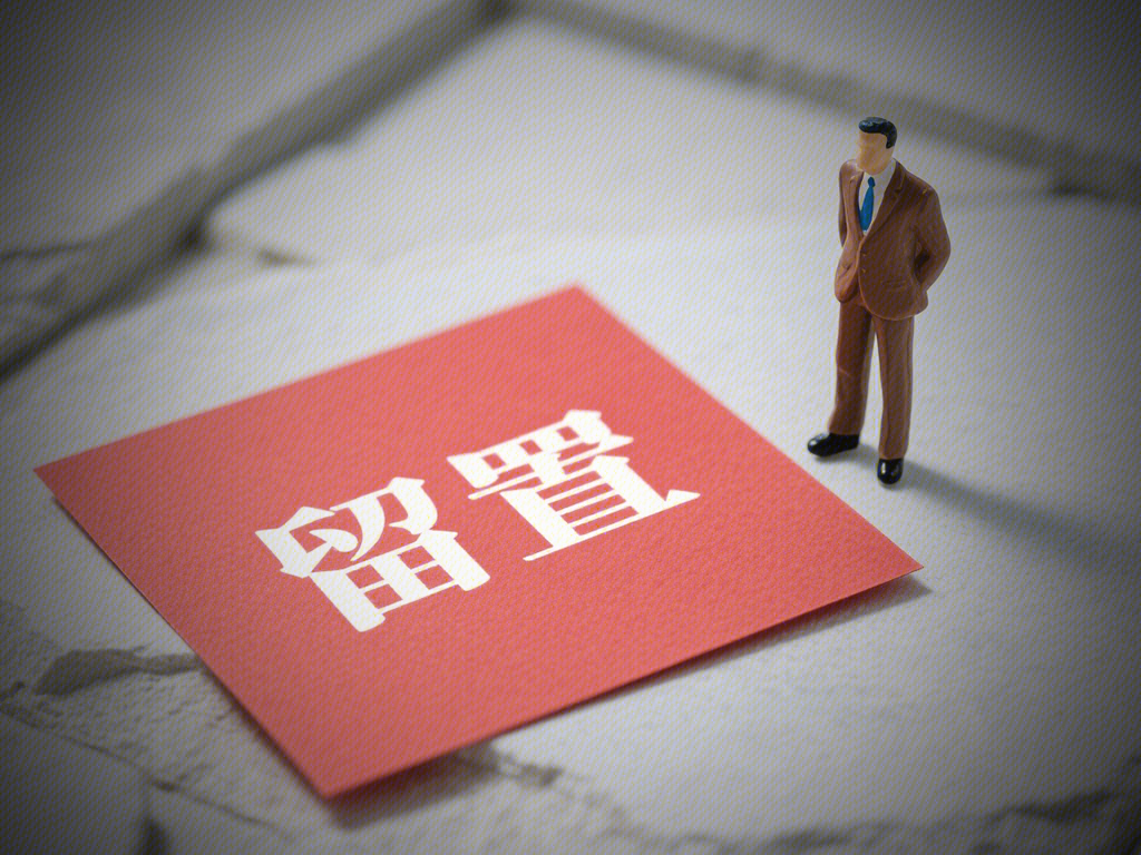留置 留置措施 留置人员