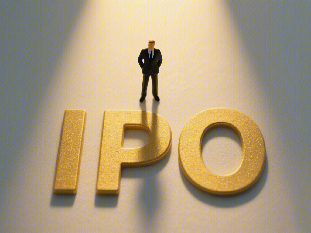 IPO 上市 首次公开发行 首次公开招股
