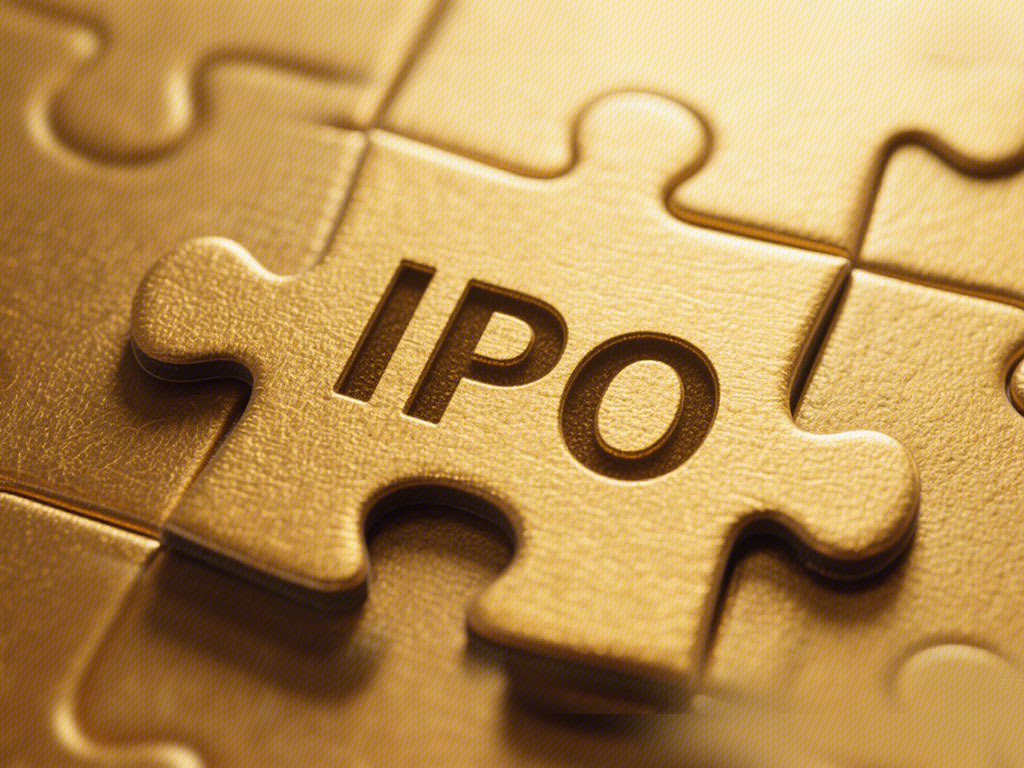 IPO 上市 首次公开发行 首次公开招股