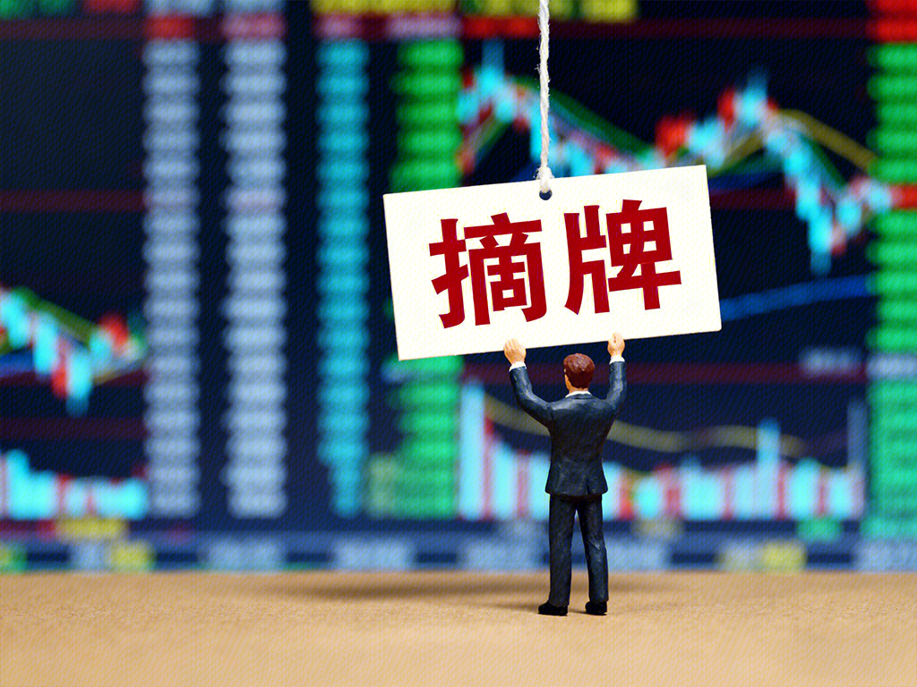 摘牌 终止上市 强制退市 金融 股市数据 炒股