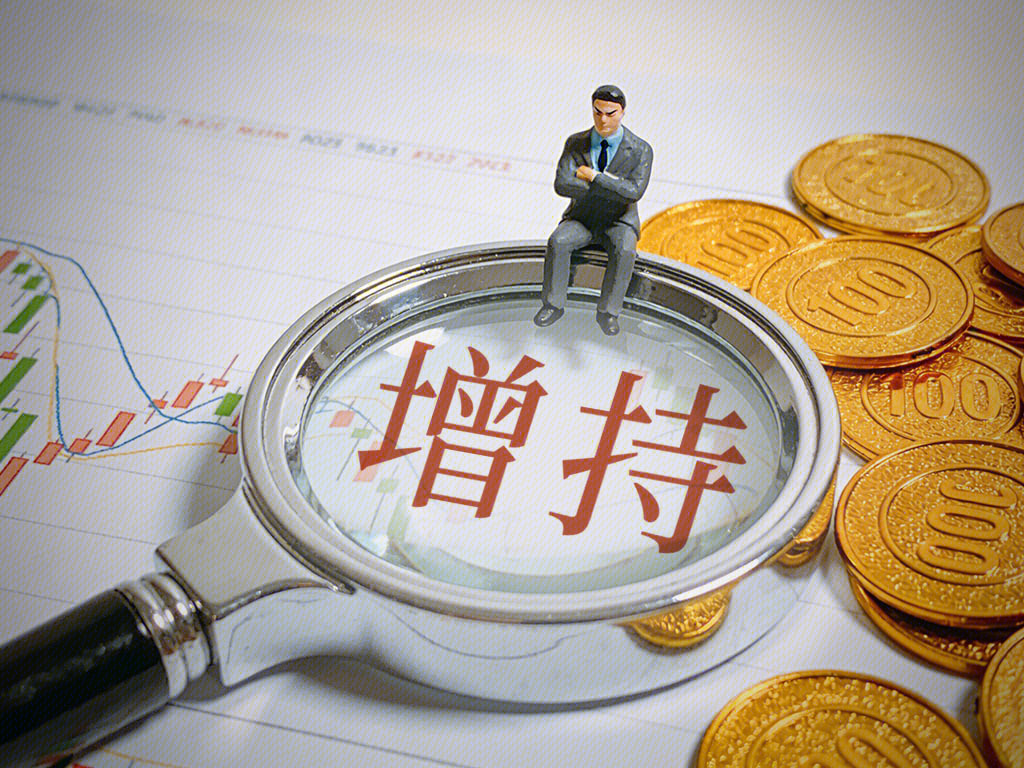 增持 金币 资金 金融 股东增持 大股东加仓
