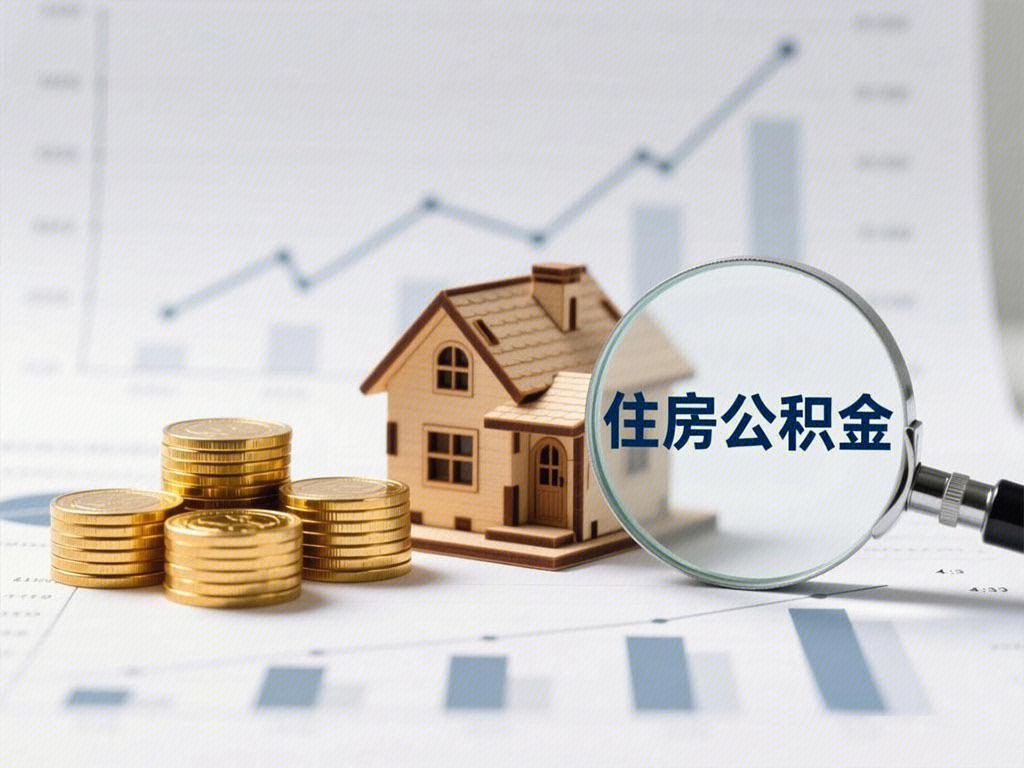 住房公积金 住房保障制度 长期住房储金 资金 金币