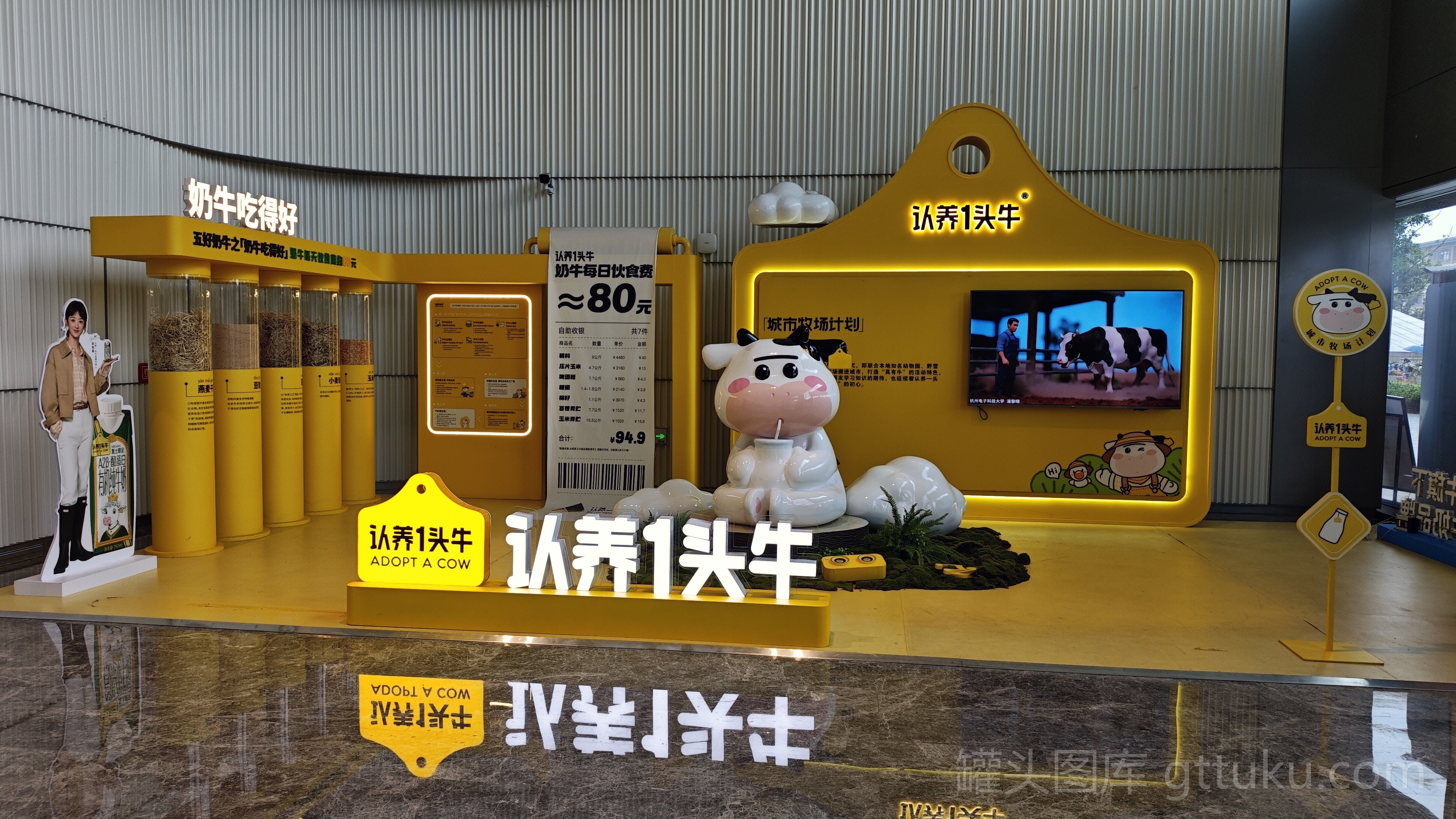 认养1头牛 牛奶