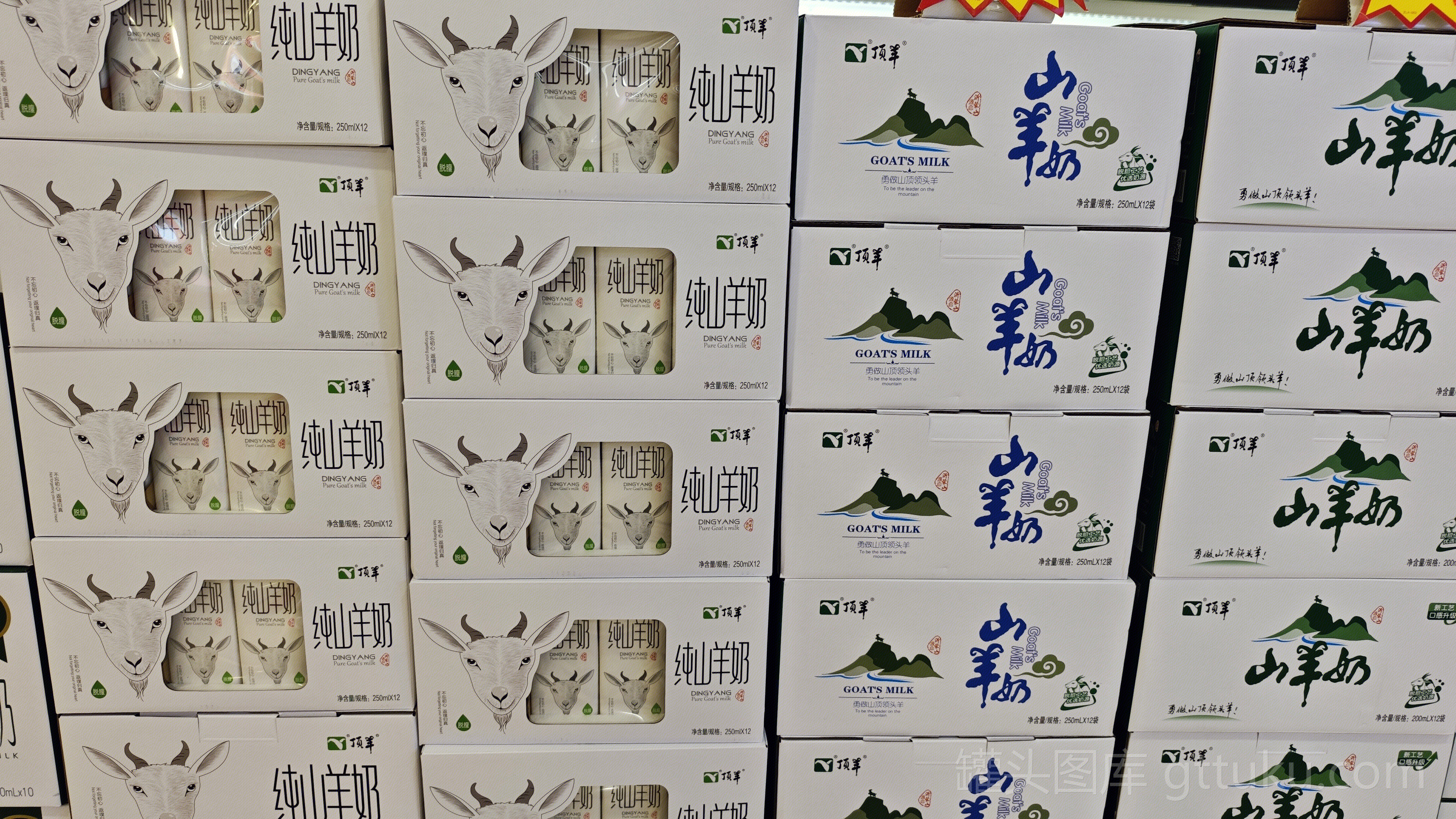 顶羊 山羊奶