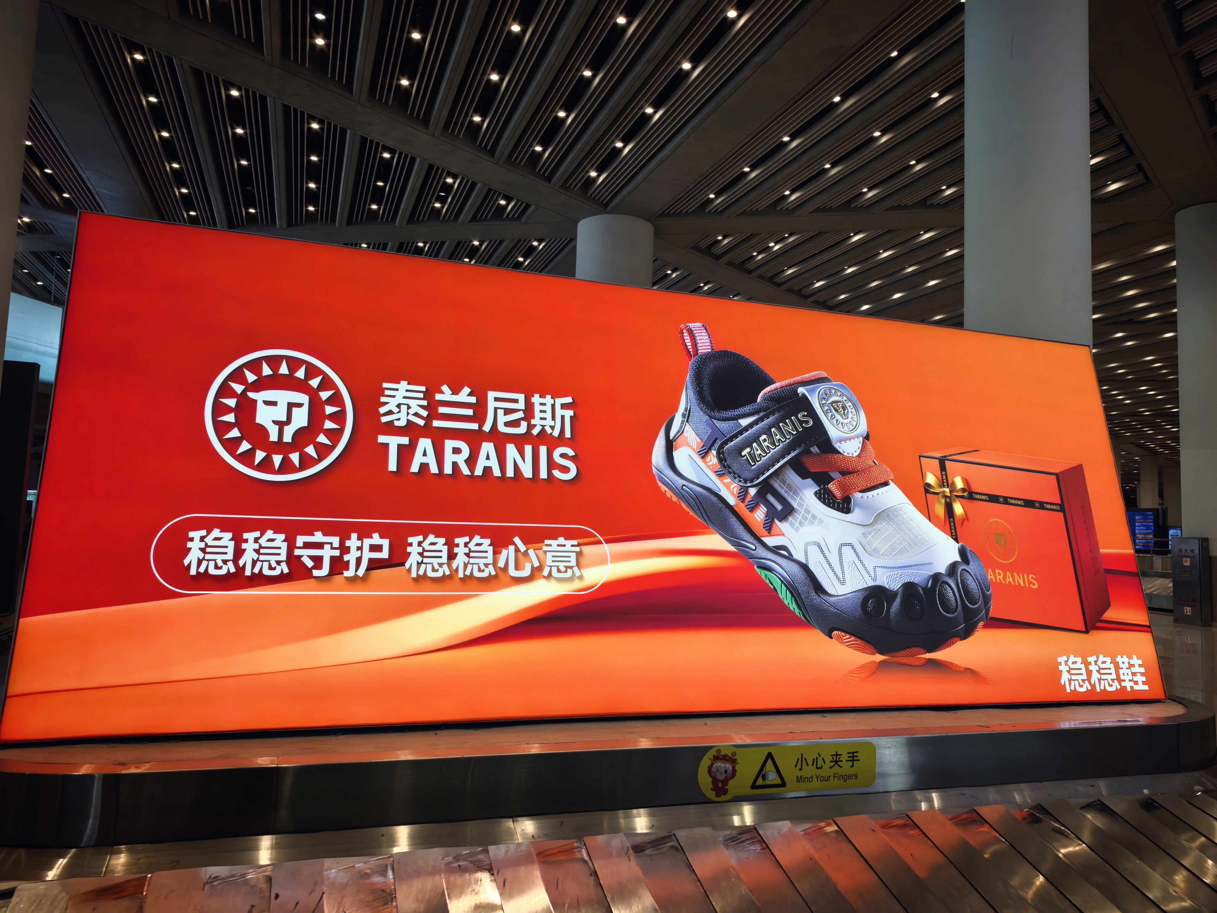 泰兰尼斯 童鞋