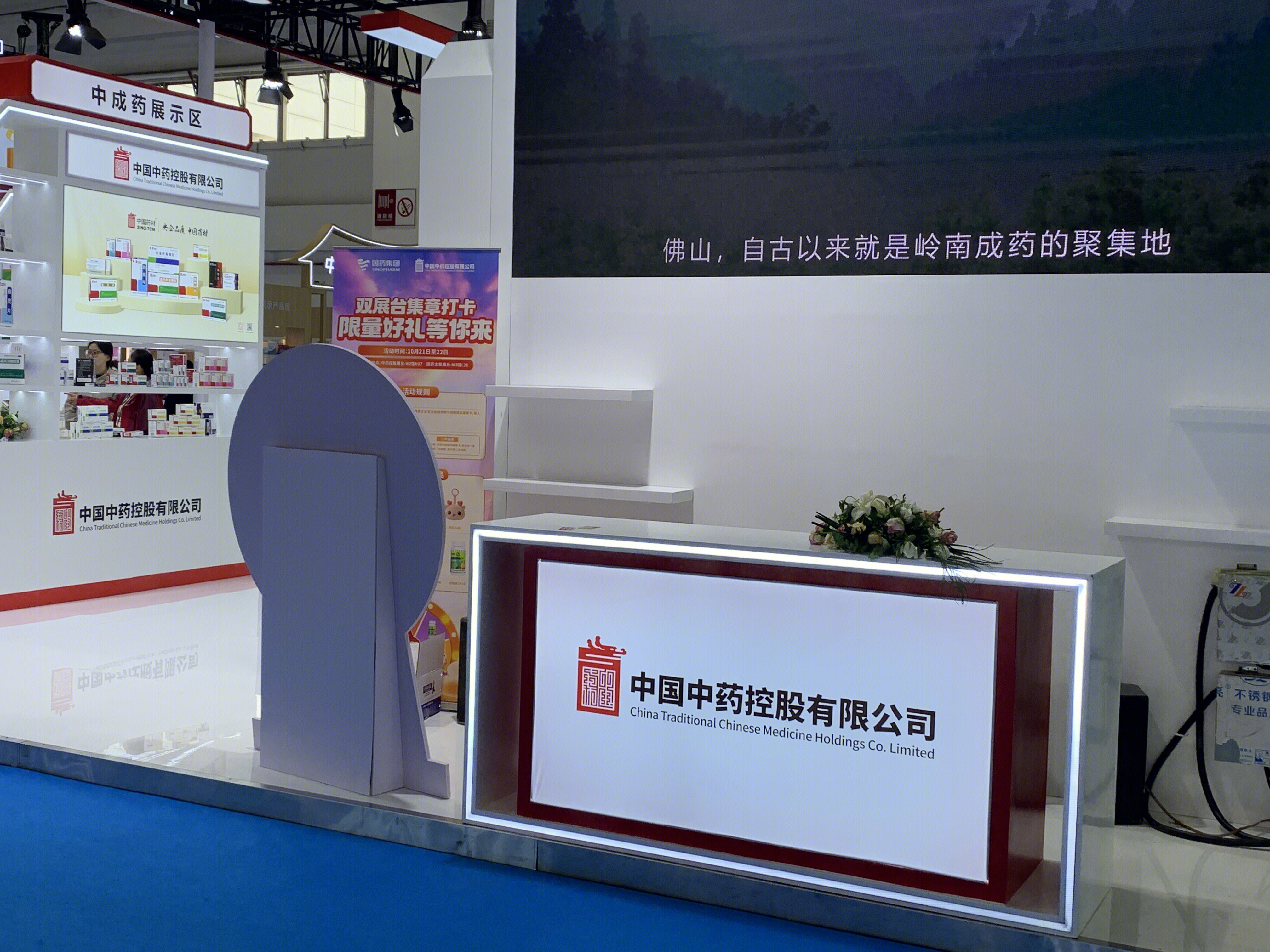 中国中药控股有限公司 药品